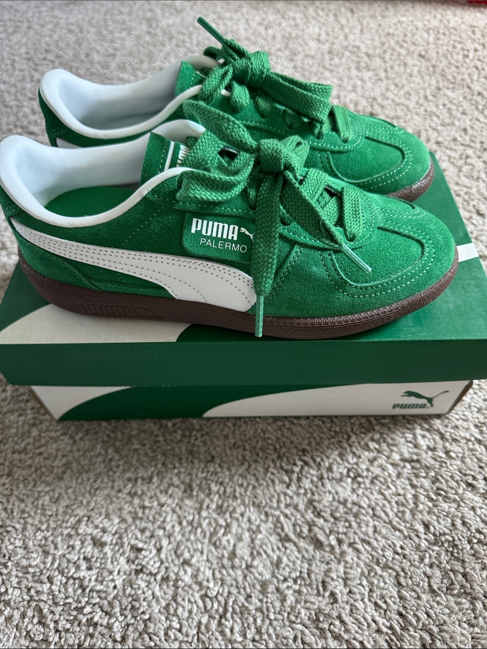 Puma Palermo Suede Sneakers in Green and White